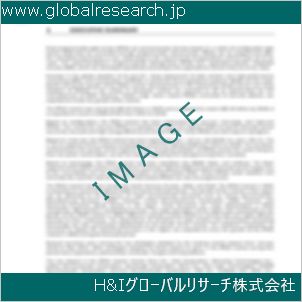 グローバルリサーチ調査資料のイメージ